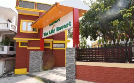 Lily Resort