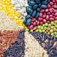 Rich Proteins A healthy protein rich diet is what you need to go through an intensive practice during your TTC. Our cooks are well trained to provide tasty protein rich cuisines for your stay.