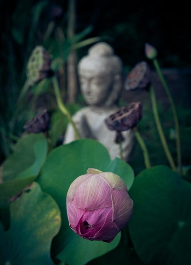 Meditation center in India